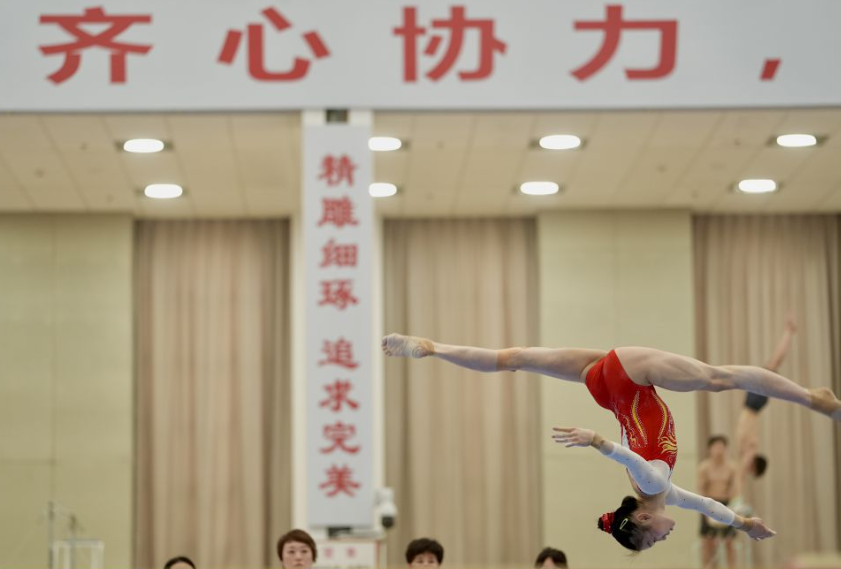 沙巴体育网站平台的技术架构与安全性探讨